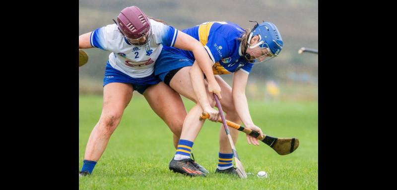 Tipperary seniors lose league opener to Waterford in Kilcommon