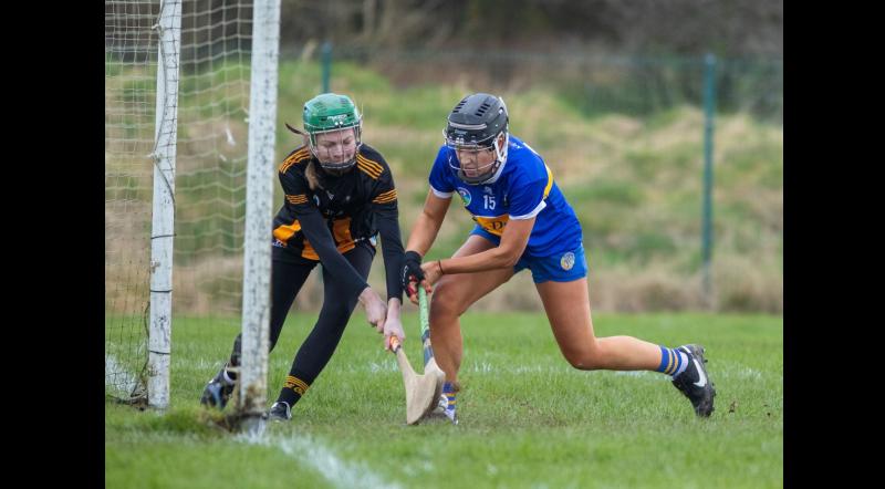 Tipperary minors continue winning ways in All-Ireland championship win over Cats