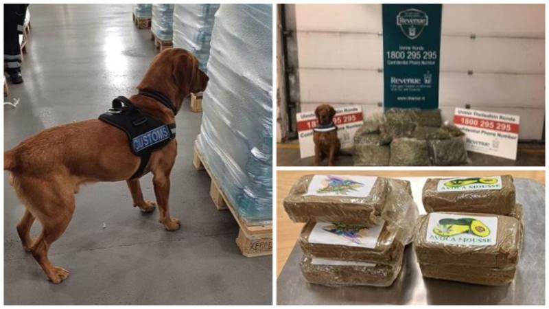 Revenue seize illicit drugs worth €275k in parcels sent from Spain  and Portugal