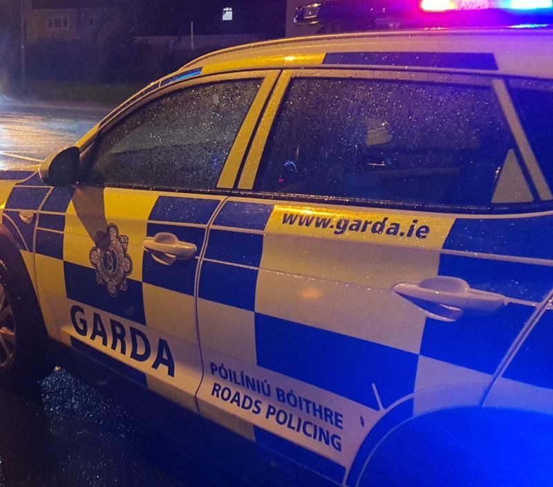 Fatal hit-and-run on St Patrick's Day sparks garda appeal