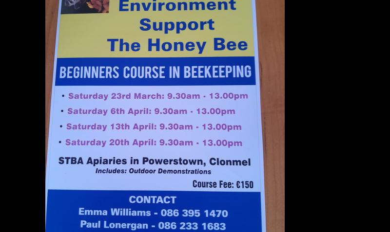 Learning the art of beekeeping in Tipperary