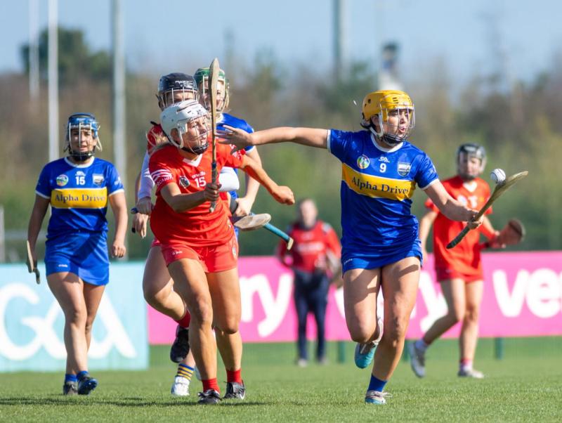 Disappointment  for Tipperary in National League Division 2B Camogie final