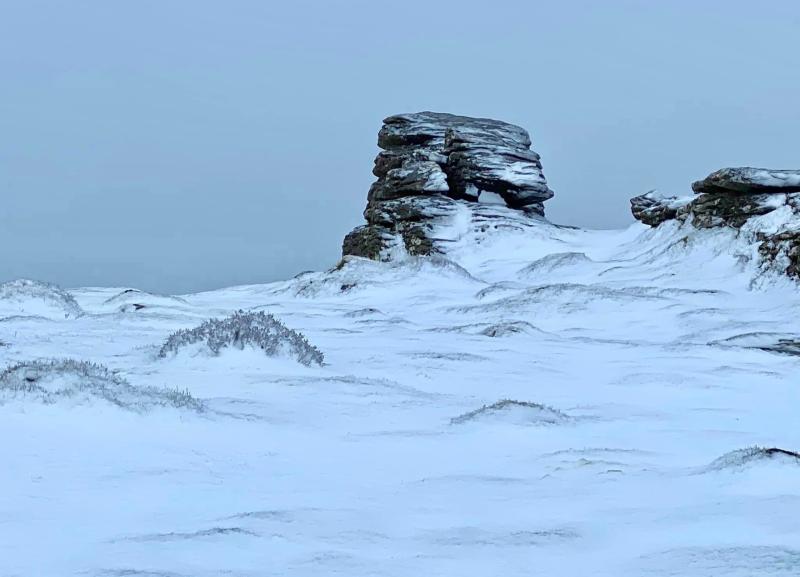 Brewing up a storm! Arctic beast set to return to Ireland as shown on new maps
