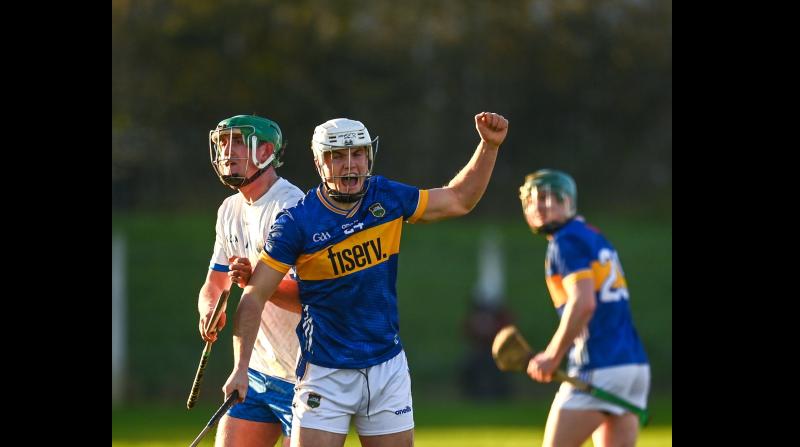 Three Tipperary players included in Higher Education Hurling Rising Stars Team of the Year