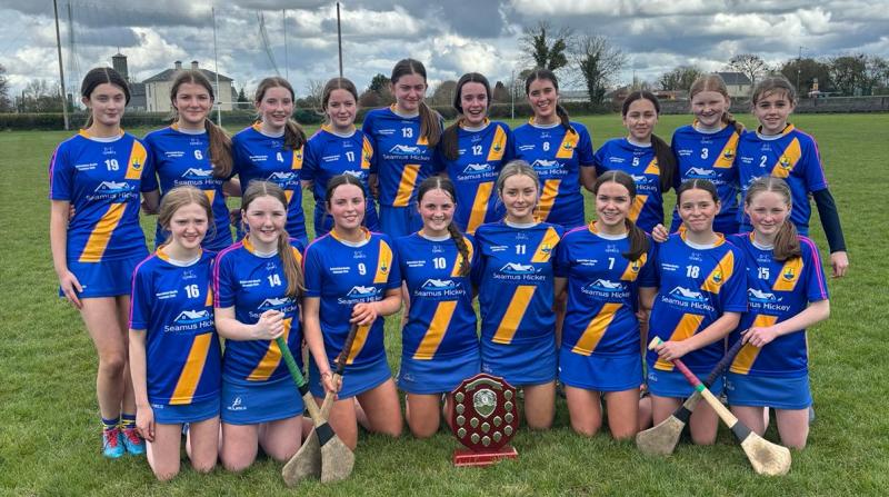 Tipperary Camogie: Boherlahan/Dualla are county Féile na nGael champions