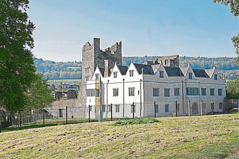 Tipperary Castle will be host venue in new live music series 