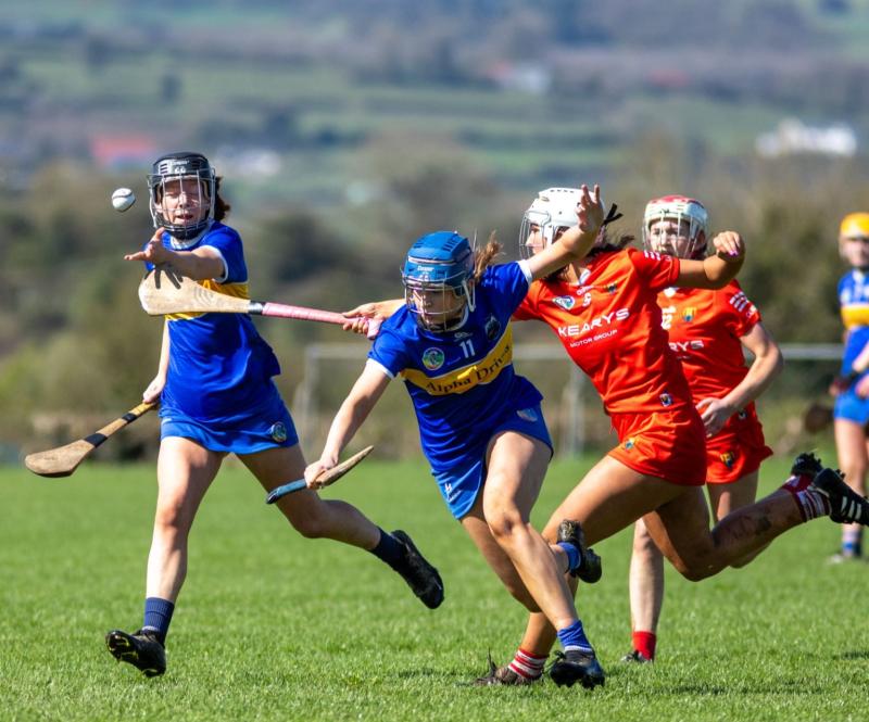 Tipperary minors' winning run comes to an end at the hands of Cork