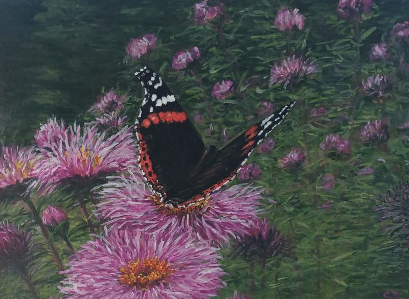 New exhibition opens at Tipperary Library