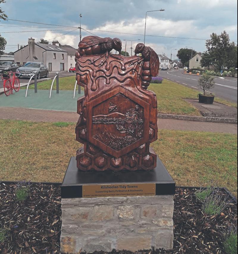 Beautiful Suirside Tipperary village has a busy working weekend ahead
