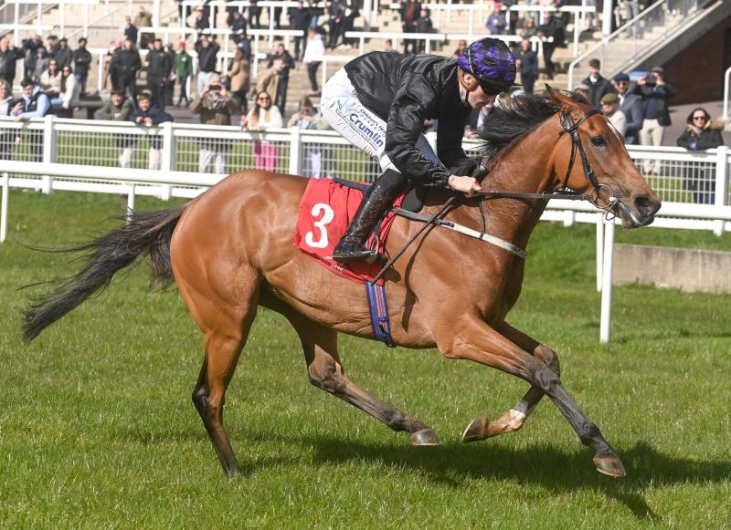 Tipperary trainers amongst the racing winners across the last week 