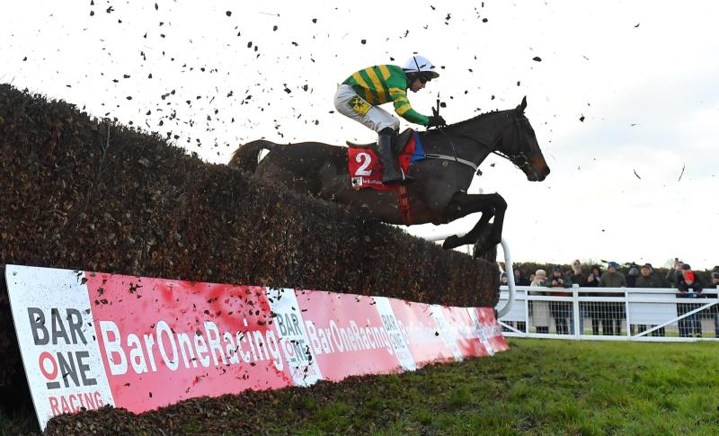 I Am Maximus and Willie Mullins set for Carlow homecoming following Grand National win