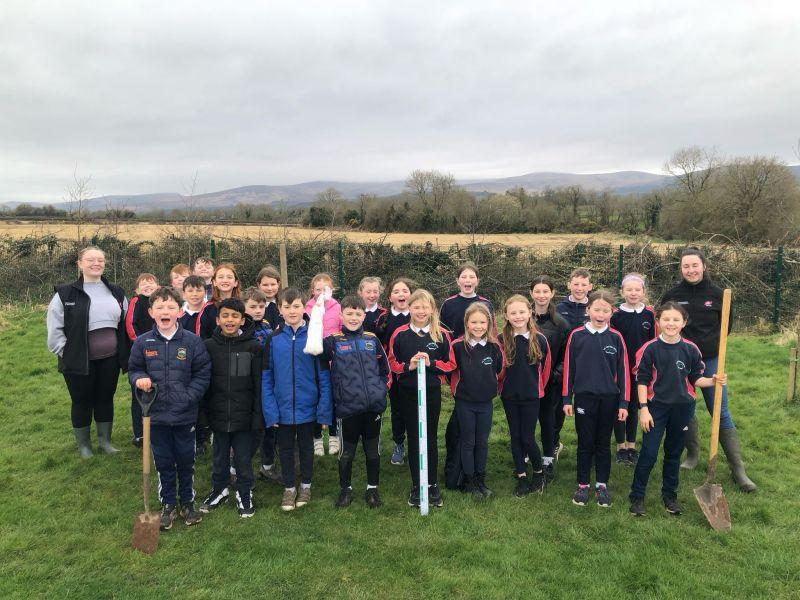 Trees planted as part of a biodiversity project at Ballylooby National School
