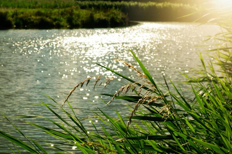 More support needed to maintain Thurles river walk