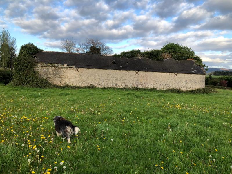 Hedgerows Ireland  make an appeal to landowner