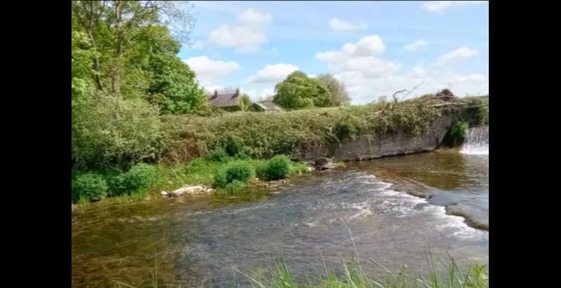 Popular river walk in big Tipperary town earmarked by Councillor for 'development' 