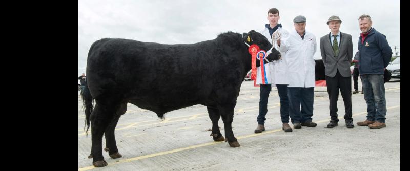 Tipperary success at Kilmallock