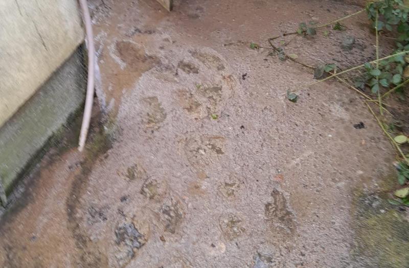 Tipperary Tipperary Tipperary 