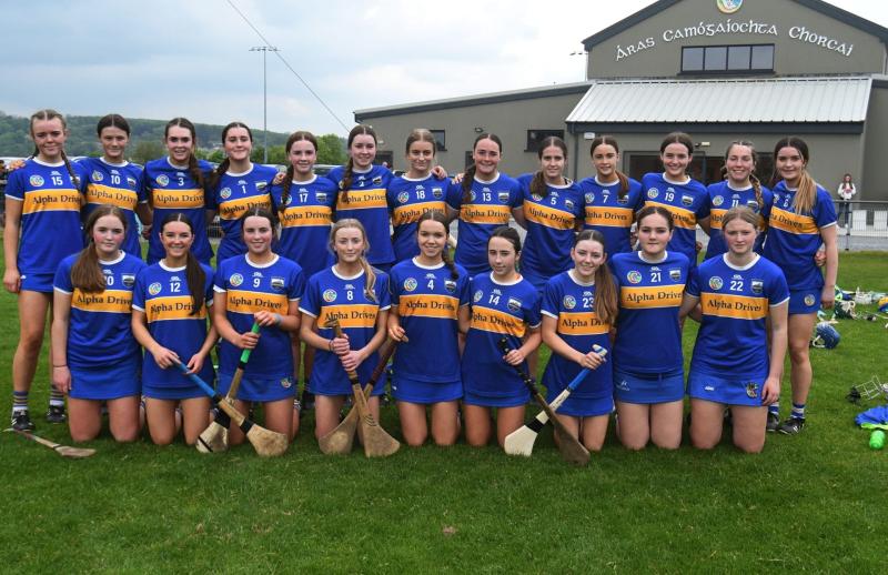 CAMOGIE: Tipperary stay in the hunt but Cork goals were decisive 