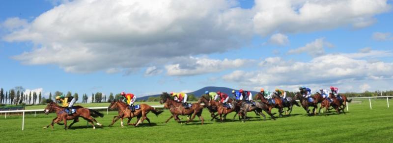 Clonmel Racecourse hosts eight-race card on Thursday evening