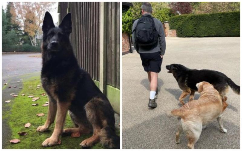 'We'll miss you' - Roy Keane pays touching tribute after death of his dog Jet