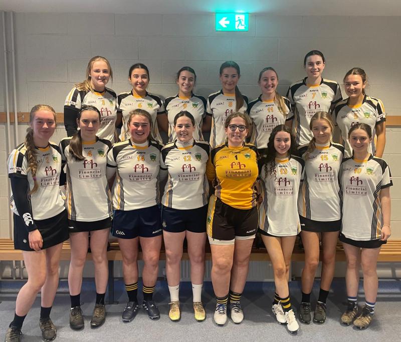 Two camogie finals down for decision in Tipperary this week