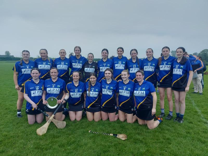 CAMOGIE: Slieve Felim Raparees crowned Tipperary county champions!