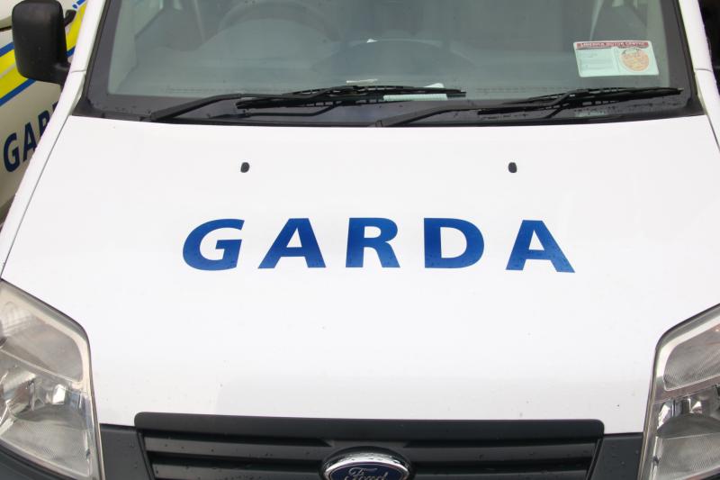 Burglars fled on foot after being disturbed breaking into rural Tipperary home