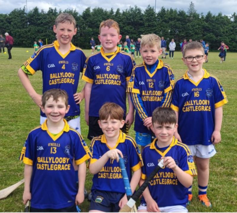 They may have lacked in numbers but south Tipperary boys showed great determination