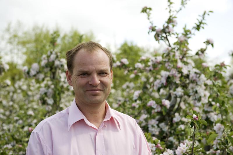 Tipperary strawberry grower welcomes the first harvest of the season