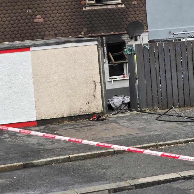 Man arrested after three dogs die in Derry arson attack