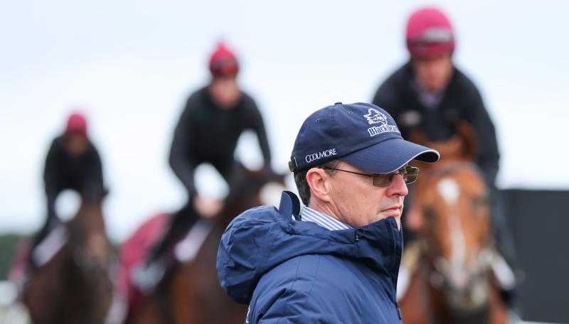 Tipperary-based trainer Aidan O'Brien wins feature race on day two of Royal Ascot