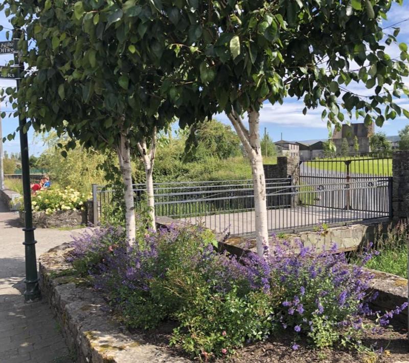 Much to be admired in Tipperary Town as summer breaks into colour