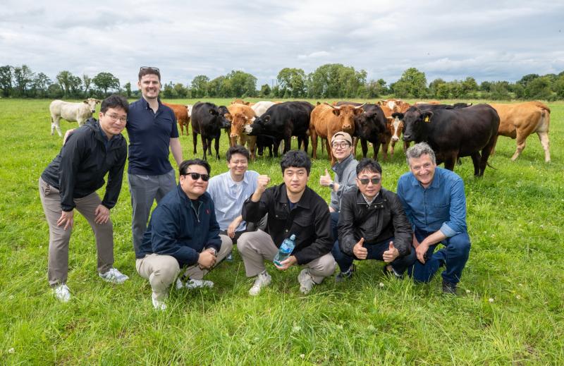 South Korean beef buyers pay visit to Tipperary beef farm