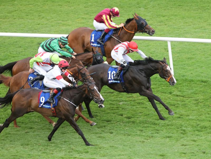 Trainer Andy Slattery signs off a great week with winner after winner 
