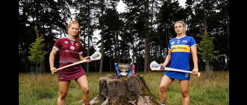 All-Ireland Senior Camogie final is within touching distance for Tipperary