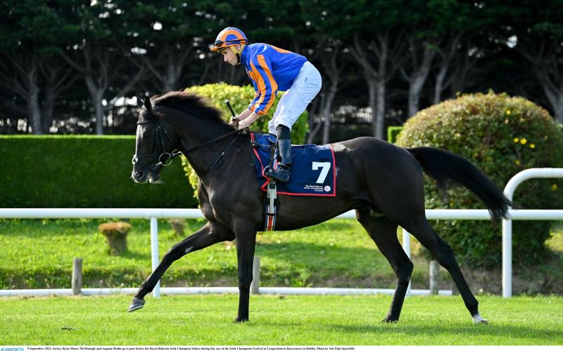 Tipperary trained Auguste Rodin is the favourite for Seventh Group One