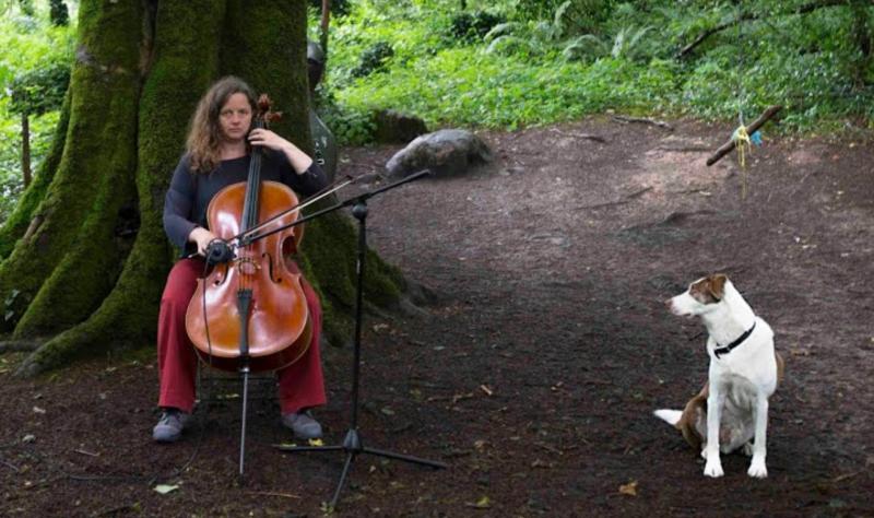 Popular musician to play afternoon show at local Tipperary arts centre