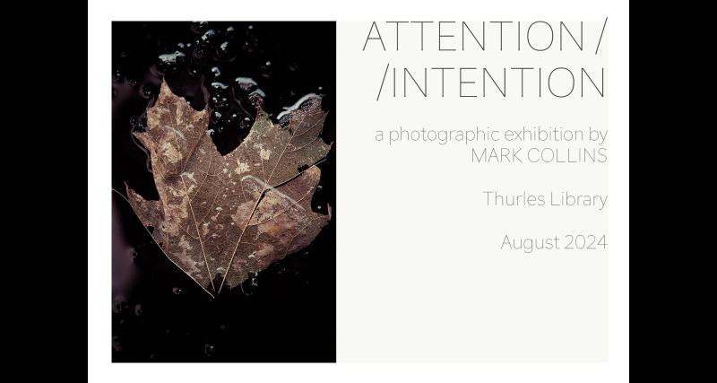 Thurles Library presents new exhibition, Attention/Intention