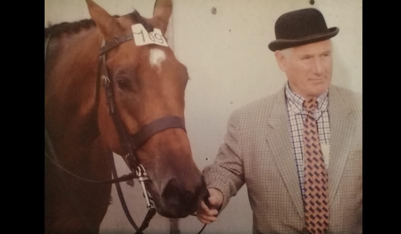 Tipperary horse helps Japan win a medal at the Olympics 