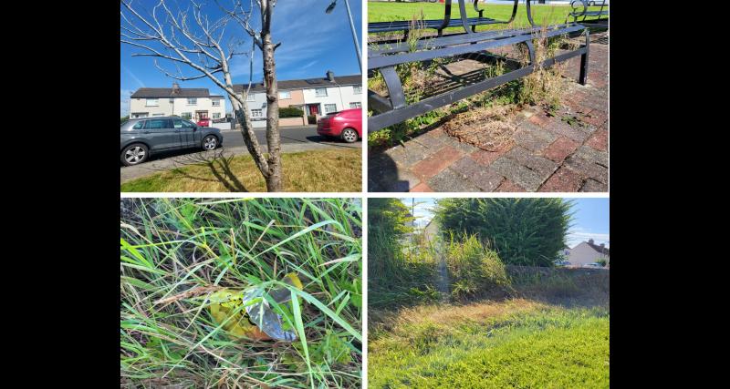 Residents of Thurles estate say grass-cutting is about health and safety