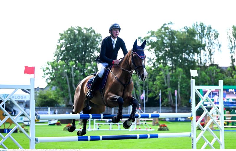 Tipperary entrants galore as the Dublin horse show gets underway today 