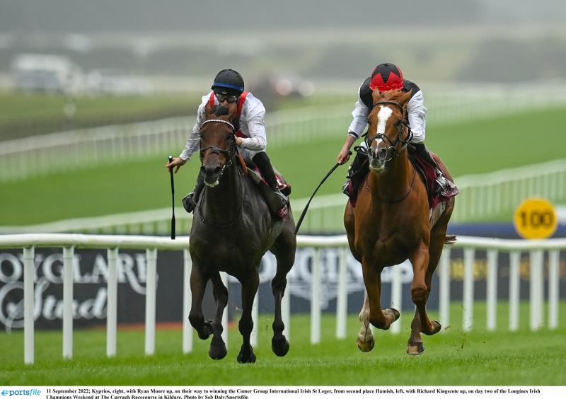 Tipperary trained Queenstown is well backed for Ebor Crown