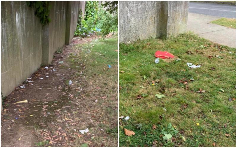 'Good man Davy' - Tipperary councillor takes it 'upon himself' to clean up local mess left by kids