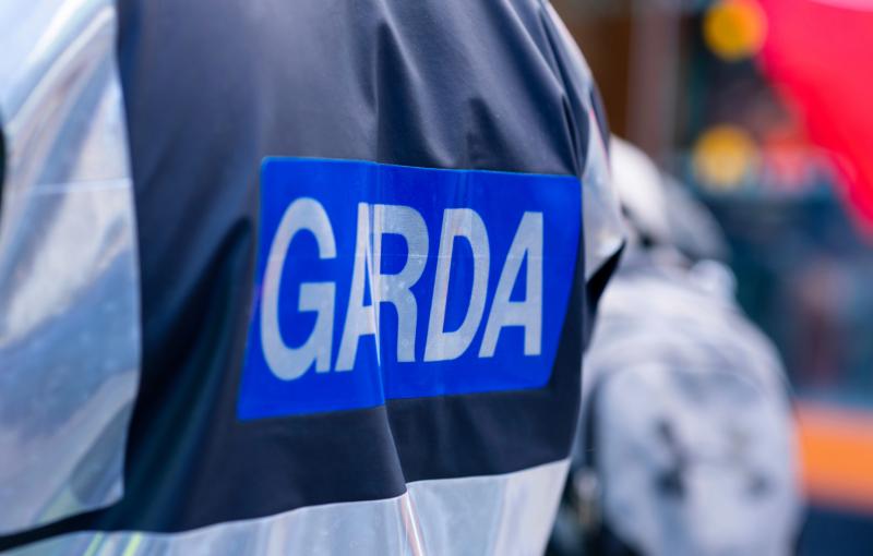 Gardaí arrested third man in connection with fatal stabbing in County Dublin
