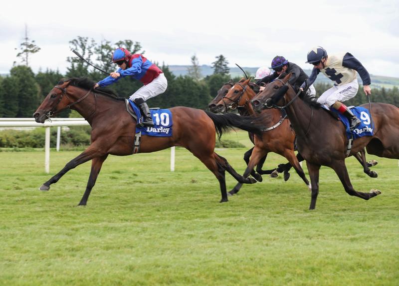  Back-to-back winners for Wayne Lordan as Tipperary trained horses clock up the wins 