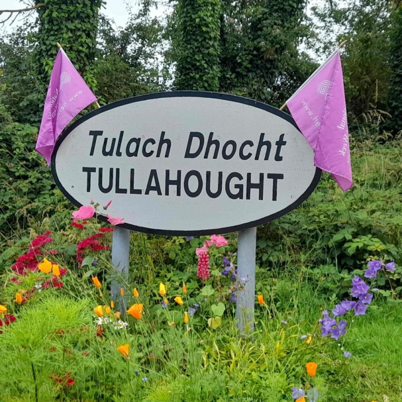Community near Carrick-on-Suir hosts series of free events for National Heritage Week 