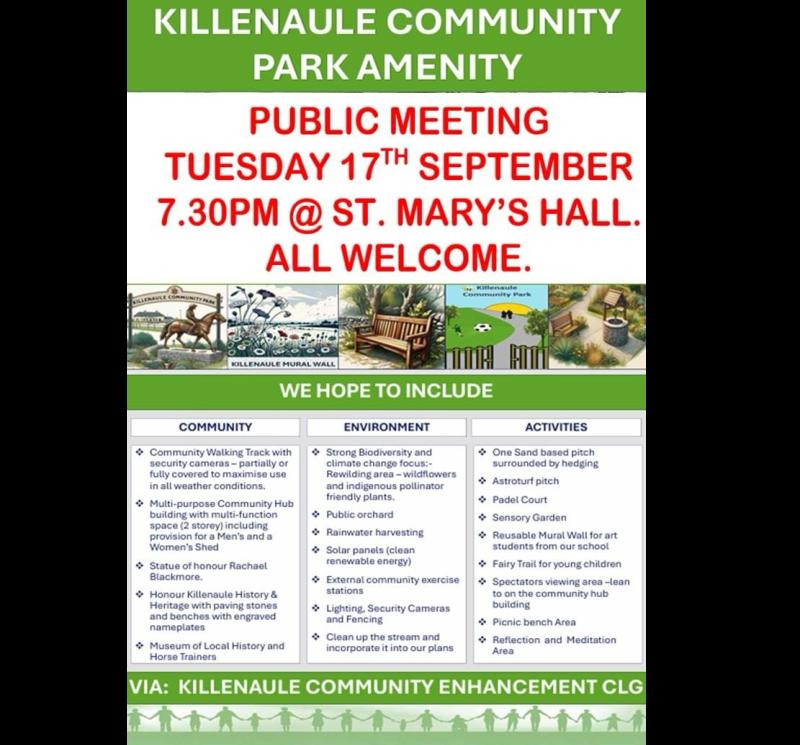 Public meeting about community park planned for county Tipperary town 