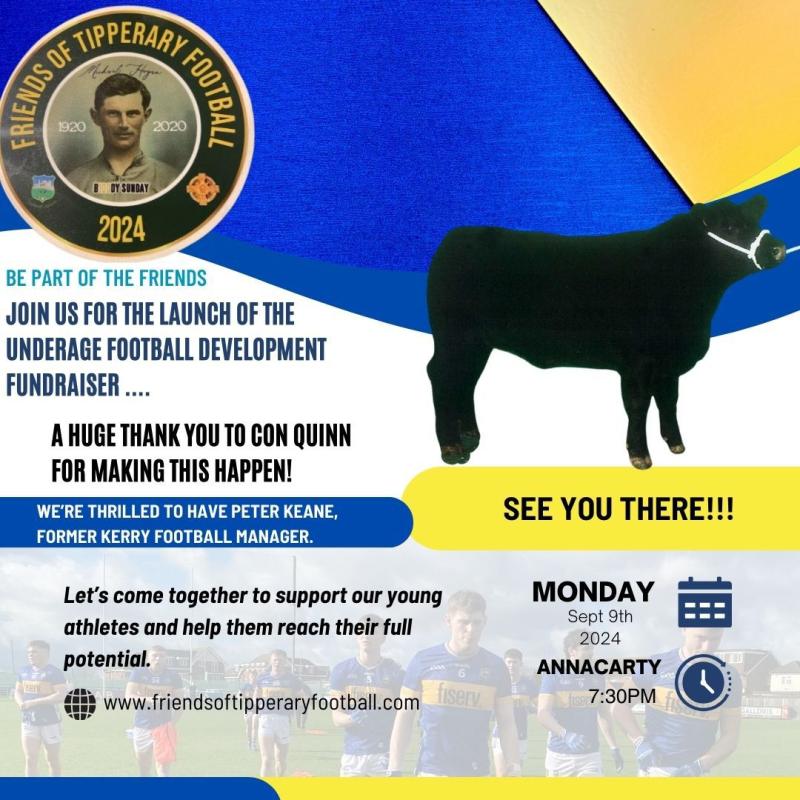 Top prizes on offer in the new Friends of Tipperary Football fundraiser draw!