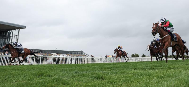 Fozzy Stack trained Shandy is a popular 50/1 winner!
