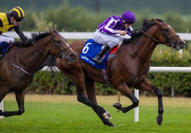 Jack Cleary-ridden Platoon capped off a fantastic week for Ballydoye